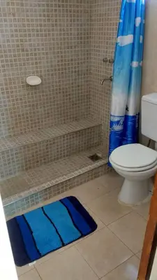 a bathroom with a shower with a toilet and a blue shower curtain at Cabañas El Descanso in Villa Carlos Paz