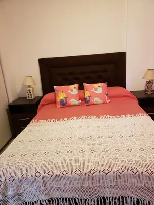 a bed with two pink pillows on top of it at Colón in Cordoba