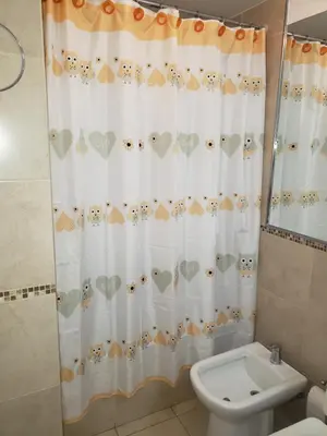 a bathroom with a shower curtain with hearts on it at Colón in Cordoba
