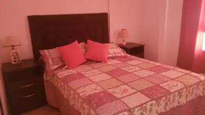 a bedroom with a bed with pink pillows at Colón in Cordoba