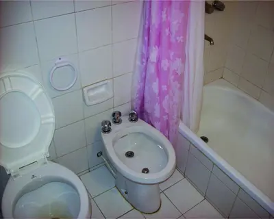 a bathroom with a toilet and a shower curtain at Departamentos Carlos Paz bajada al lago in Villa Carlos Paz