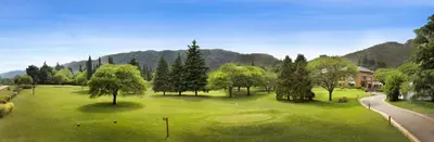 an overhead view of a golf course with trees at Altos de Belgrano Hotel Cabañas Golf y Spa in Villa General Belgrano