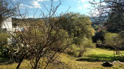 a view of a field with trees and grass at Cuesta los Robles -Casas Serranas- in Villa Icho Cruz