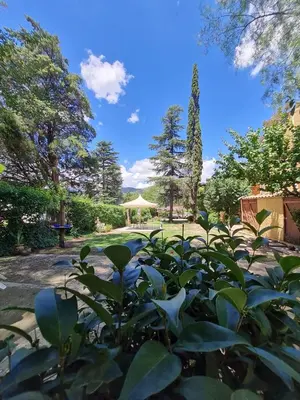 a large green bush in a park with a tent in the background at Posada Aitue in Villa General Belgrano