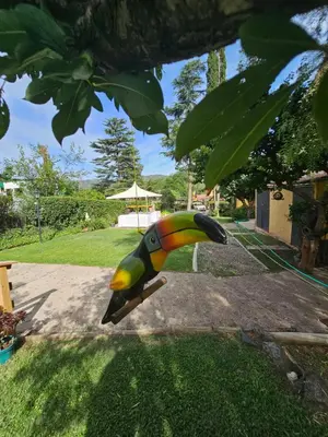 a statue of a toucan hanging from a tree at Posada Aitue in Villa General Belgrano