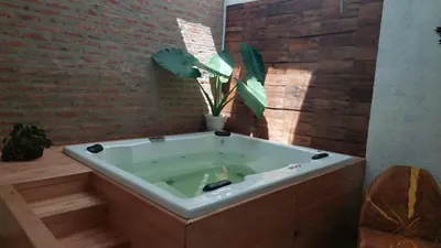 a bath tub with a potted plant in a bathroom at Posada Mia Nonna in Villa General Belgrano
