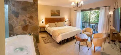 a bedroom with a bed and a tub in a room at Posada del Sauce in Villa General Belgrano