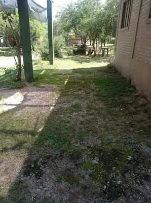 an empty yard next to a building at Bosquecito de Carpin in Carpintería