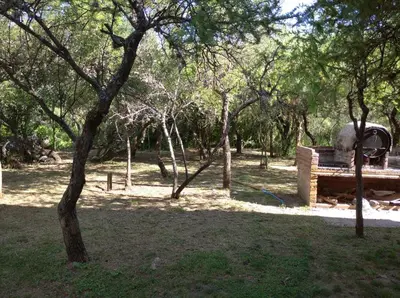 a park with a bench and some trees and grass at Bosquecito de Carpin in Carpintería