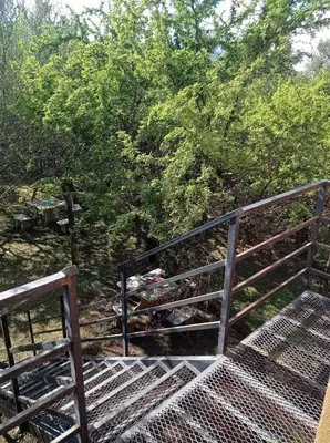 a set of stairs with trees in the background at Bosquecito de Carpin in Carpintería