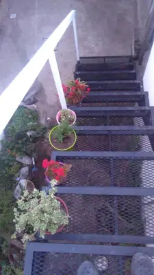 a group of stairs with flowers and plants at La Cima Alta Gracia in Alta Gracia
