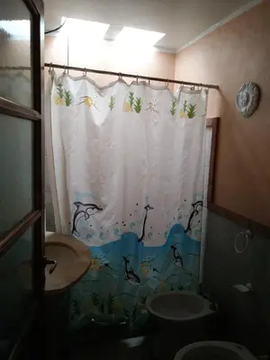 a bathroom with a toilet and a shower curtain at Al lado in Cordoba
