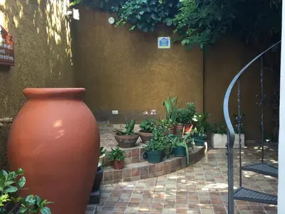 a large orange vase sitting next to a bunch of potted plants at Paz y Armonia Habitaciones in Mina Clavero