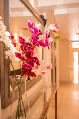 a vase filled with pink and white flowers on a table at Kube Apartments Express in Cordoba