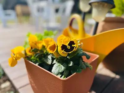 a potted plant with yellow flowers in it at Preludio De Luxe in Villa General Belgrano