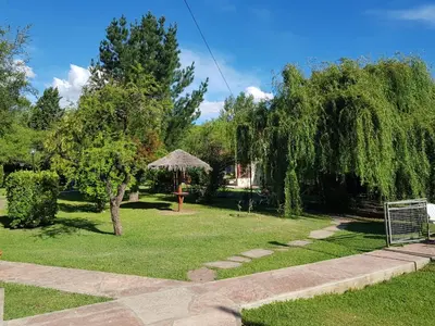 a garden with a tree and an umbrella at El Rincón de Iri-Nan in Merlo