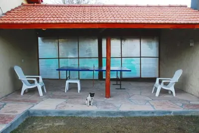 a dog standing under a pavilion with a table and chairs at El Rincón de Iri-Nan in Merlo