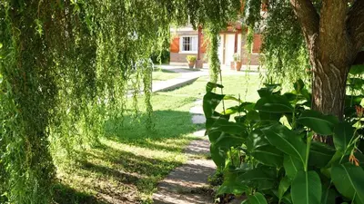 a walkway with trees and plants in a yard at El Rincón de Iri-Nan in Merlo