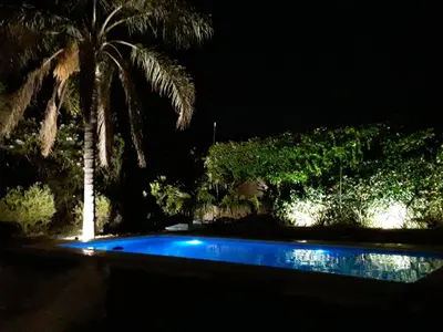 a swimming pool at night with a palm tree at Casa en Córdoba Zona Norte in Cordoba