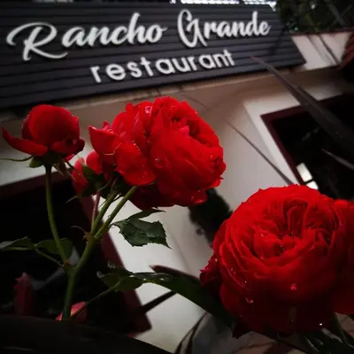two red roses in a vase in front of a restaurant at Rancho Grande Hotel in Villa General Belgrano