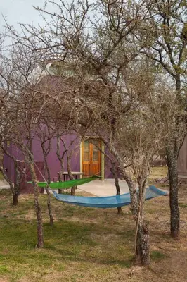 a house with a hammock in the middle of trees at Cabaña Anita in Merlo