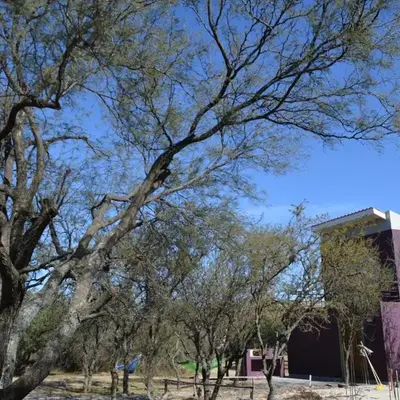 Cabaña Anita