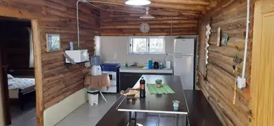 a kitchen with wooden walls and a table in a room at Cabaña Trapiche San Luis in Trapiche