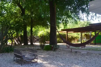 a hammock in a park next to a tree at Cabañas Cultura Serrana in Santa Rosa de Calamuchita