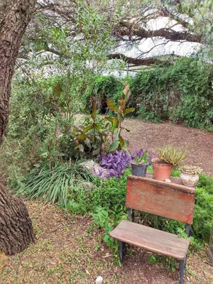 a wooden bench sitting in a garden with plants at Cabaña Negusa in Merlo