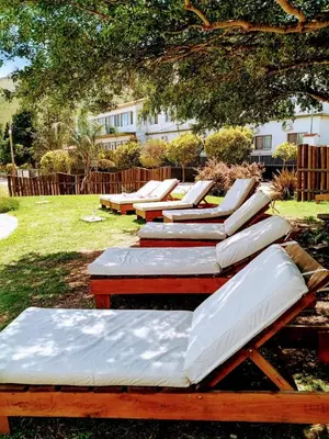 a row of chaise lounges sitting under a tree at Hotel Colores in Merlo