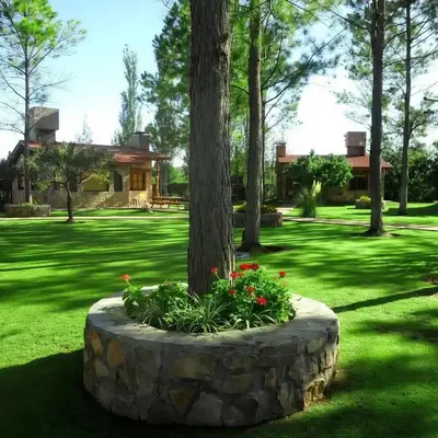 CABAÑAS VIEJO VIVERO