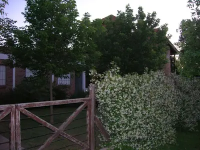 a wooden fence in front of a house with white flowers at Soleaditos in Mina Clavero