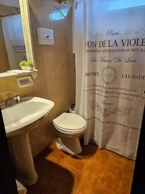 a bathroom with a sink and a toilet and a shower curtain at Depto VCP Rental in Villa Carlos Paz