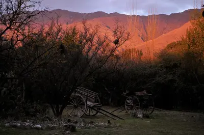 a bench and a cart in a field with trees at LAS JARILLAS Hostería & Bodega in San Javier
