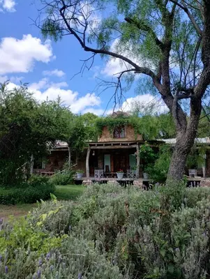 a house with a tree in front of it at LAS JARILLAS Hostería & Bodega in San Javier