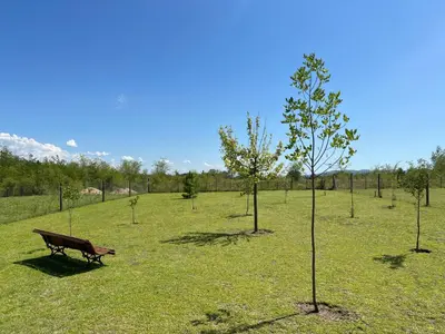 a park with a bench and trees in a field at El Retiro - Casa de campo en Los Reartes in Los Reartes