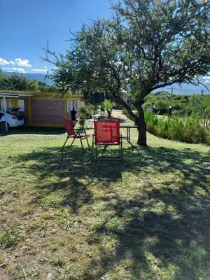 two chairs sitting under a tree in a yard at La bendicion in Villa Cura Brochero