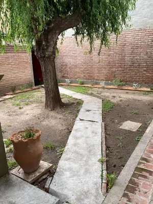 a pot sitting next to a tree next to a sidewalk at Dos ruedas in Mina Clavero