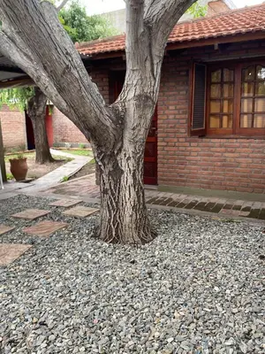 a tree in front of a brick building at Dos ruedas in Mina Clavero