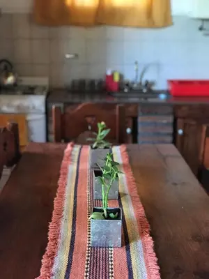 a potted plant sitting on top of a wooden table at Cabañas Luz de Luna in Santa Rosa de Calamuchita