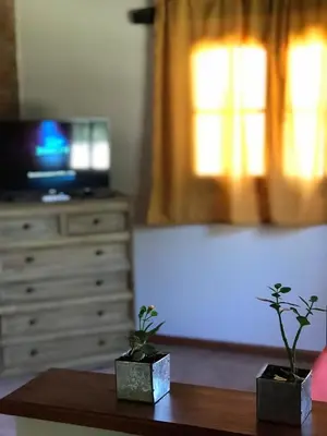 two plants sitting on top of a wooden table at Cabañas Luz de Luna in Santa Rosa de Calamuchita