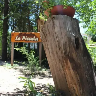 La picada