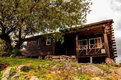 a log cabin on a hill with a tree at Cabaña de Troncos en la montaña in Mina Clavero
