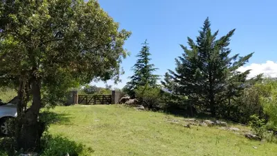 a field with two trees and a fence at Cabaña de Troncos en la montaña in Mina Clavero
