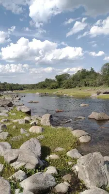 a river with rocks in the middle of a field at cabañas Tierra Kamiare 1 in Amboy