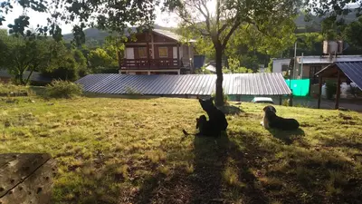 Gallery image of Complejo Mi Tesoro in Trapiche