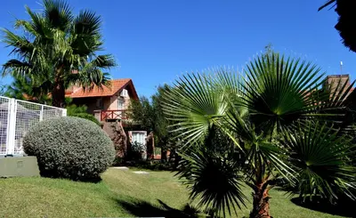 a palm tree in front of a house at Cabañas Quilquelen in Merlo
