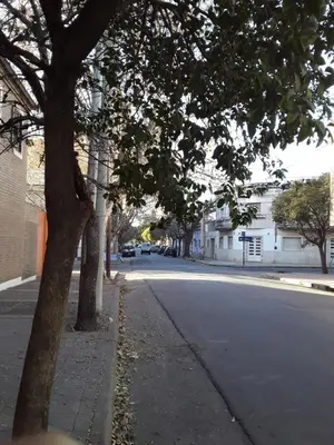 a street with a tree on the side of the road at TEMPORARIO CORDOBA in Cordoba