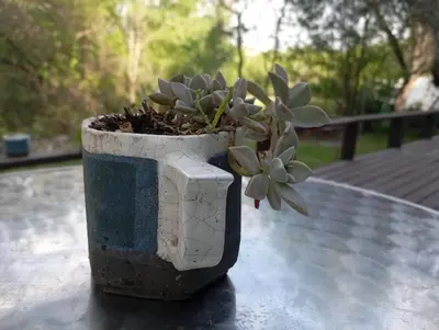 a potted plant sitting on top of a table at Cabañas Piedras del Xanaes, colindantes al río in Villa Los Aromos