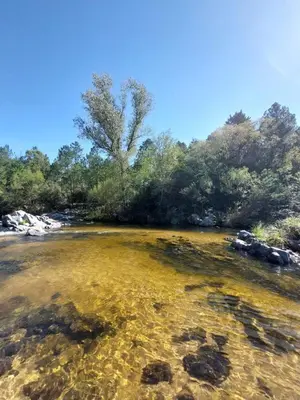 a body of water with rocks and trees at Rumihuasi Apartamento in Los Reartes